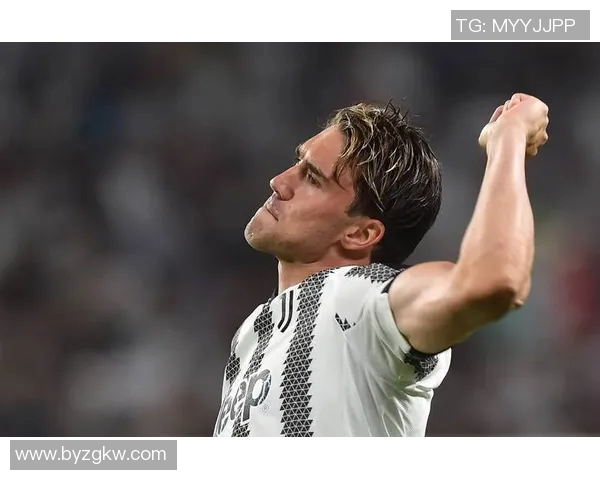 弗拉霍维奇：新一代足球天才如何改变意甲格局与未来发展潜力分析